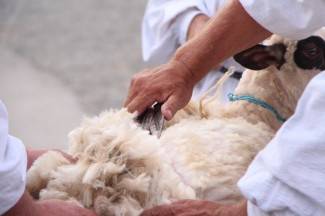 Grabarje: Smotra folklora ¨Poljadija u srcu¨