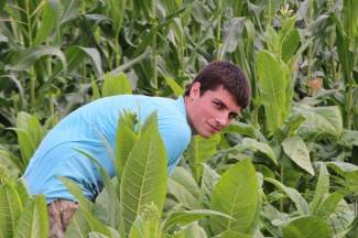 Vrijedni narod Požeštine: Radovi na poljima od Orljavca do Velike