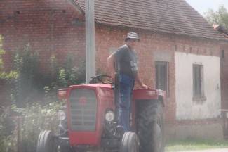 Vrijedni narod Požeštine: Radovi na poljima od Orljavca do Velike