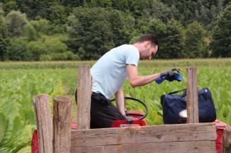 Vrijedni narod Požeštine: Radovi na poljima od Orljavca do Velike