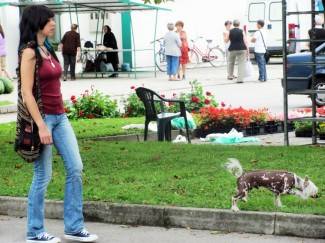 Šetnja Pakracom i Lipikom, 31.7.2014.