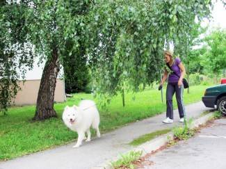 Šetnja Pakracom i Lipikom, 31.7.2014.