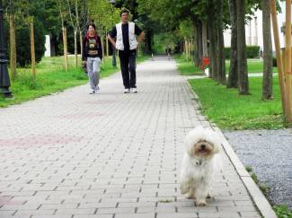 Šetnja Pakracom i Lipikom, 31.7.2014.