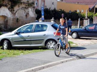 Subotnja šetnja Požegom, Pleternicom i Pakracom