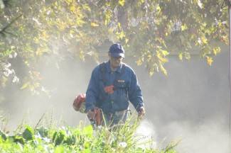 Subotnja šetnja Požegom, Pleternicom i Pakracom