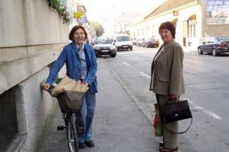 Subotnja šetnja Požegom, Pleternicom i Pakracom