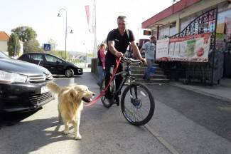 Subotnja šetnja Požegom, Pleternicom i Pakracom