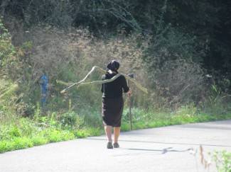 Subotnja šetnja Požegom, Pleternicom i Pakracom