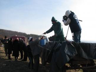 Ledene berbe daju malo, ali vrhunsko i traženo vino