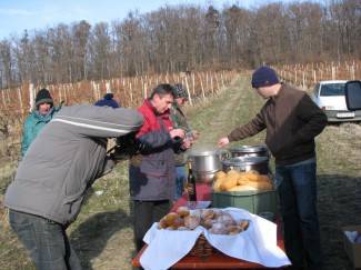 Ledene berbe daju malo, ali vrhunsko i traženo vino