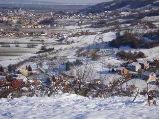 Vaše fotografije: Zima i zimske radosti u Požeštini