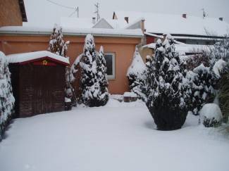 Vaše fotografije: Zima i zimske radosti u Požeštini