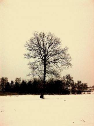 Vaše fotografije: Zima i zimske radosti u Požeštini