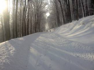 Vaše fotografije: Zima i zimske radosti u Požeštini