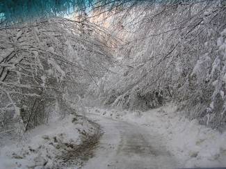 Vaše fotografije: Zima i zimske radosti u Požeštini