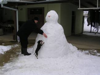 Vaše fotografije: Zima i zimske radosti u Požeštini