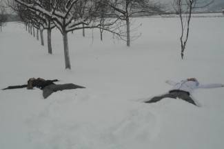 Vaše fotografije: Zima i zimske radosti u Požeštini