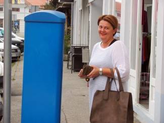 Subotnja šetnja Požegom, Pleternicom i Pakracom