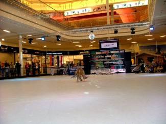 Požeške plesačice dominirale u West Gate Cityju (video)