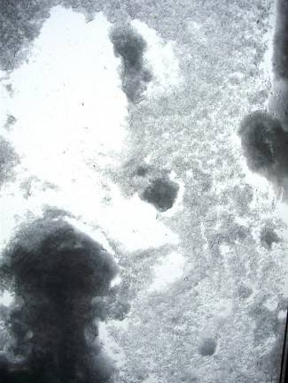 Vaše fotografije: Zima i zimske radosti, 2. dio