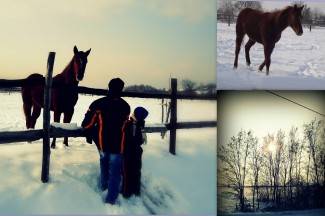 Vaše fotografije: Zima i zimske radosti, 2. dio