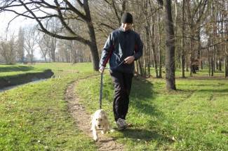 Šetnja gradom: Sunčani Badnjak u Požegi
