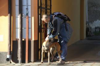 Subotnja šetnja Pleternicom i Kutjevom, 27.12.2014.