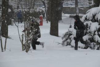 Pao nam je snijeg: Fotografije iz Požege, Pleternice, Pakraca, Lipika i Kutjeva