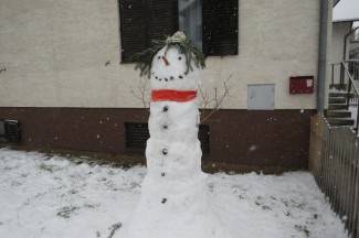 Pao nam je snijeg: Fotografije iz Požege, Pleternice, Pakraca, Lipika i Kutjeva