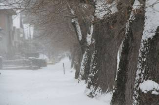 Pao nam je snijeg: Fotografije iz Požege, Pleternice, Pakraca, Lipika i Kutjeva