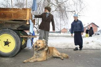 Maškare u Pleternici