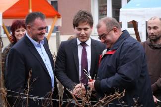 Kutjevačko Vincelovo 2015.