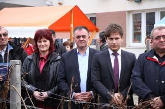 Kutjevačko Vincelovo 2015.