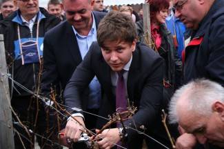 Kutjevačko Vincelovo 2015.