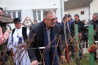 Kutjevačko Vincelovo 2015.