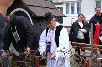 Kutjevačko Vincelovo 2015.