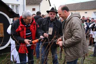 Kutjevačko Vincelovo 2015.