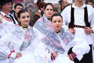 Kutjevačko Vincelovo 2015.