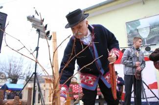 Kutjevačko Vincelovo 2015.