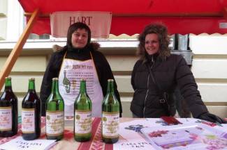 Zeleno i plavo: Vincelovo u Požegi 2015.