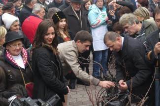 Zeleno i plavo: Vincelovo u Požegi 2015.