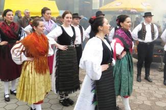 Zeleno i plavo: Vincelovo u Požegi 2015.