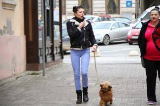 Šetnja gradom: Požega, 26.1.2015.