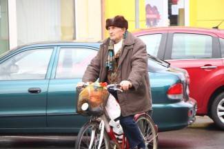 Šetnja Pleternicom i Kutjevom, 28.1.2015.