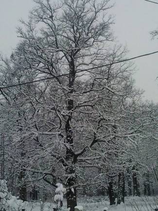 Vaše fotografije: Zimske radosti diljem PSŽ