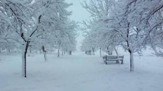 Vaše fotografije: Zimske radosti diljem PSŽ