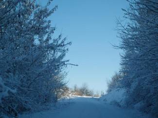 Vaše fotografije: Zimske radosti diljem PSŽ