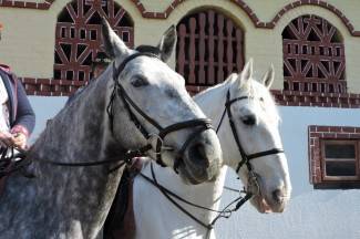 Štimac podnio ostavku: ¨Nije nikakva svađa u pitanju, ostavka je osobne prirode¨