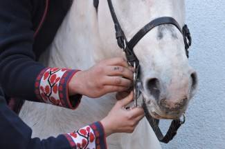 Štimac podnio ostavku: ¨Nije nikakva svađa u pitanju, ostavka je osobne prirode¨