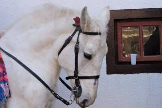 Štimac podnio ostavku: ¨Nije nikakva svađa u pitanju, ostavka je osobne prirode¨